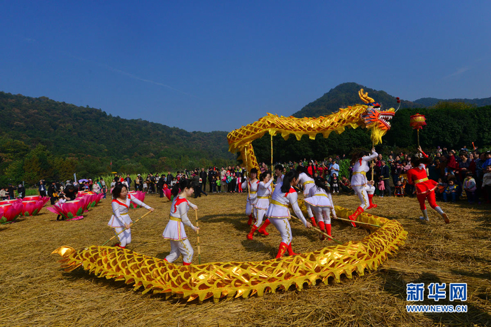城市“農樂節”映像