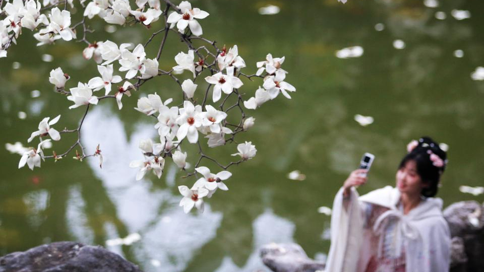 春滿山河 人間正暖