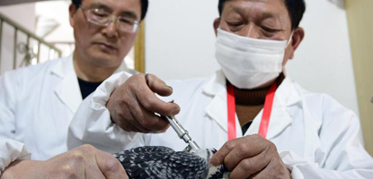 一場沒有硝煙的戰爭 全民協力嚴控禽流感