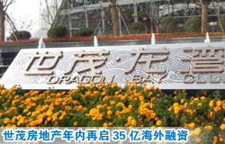 世茂房地產年內再啟35億海外融資