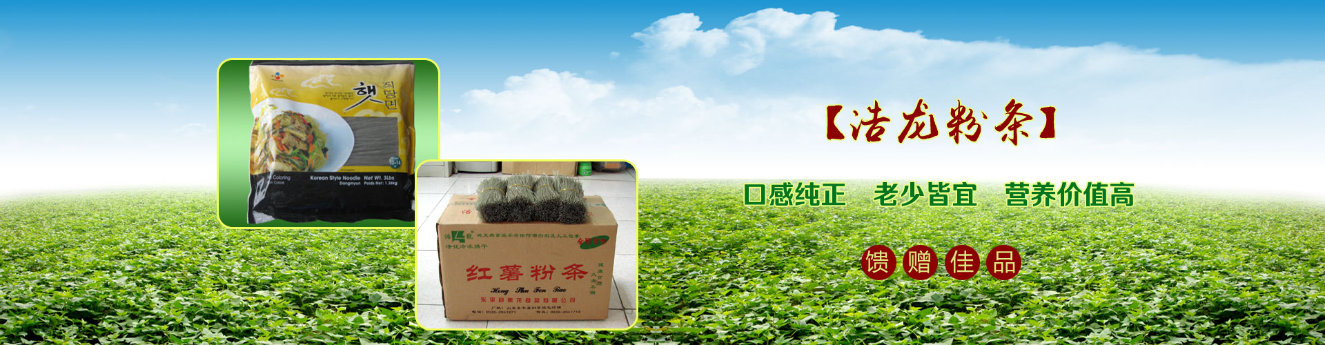 潛在的金融危機與治理路徑