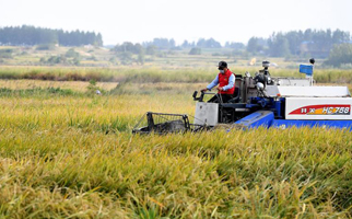 40年，小崗人的18個&ldquo;第一次&rdquo;