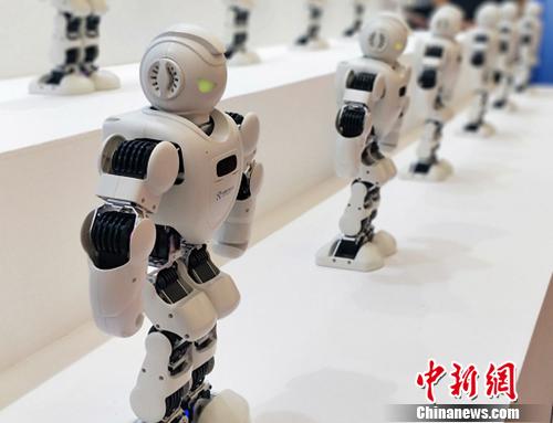 圖為機器人大會現場。姚露 攝 