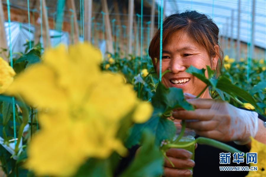 （兩會前夕看落實&middot;圖文互動）（4）融合&ldquo;三生三美&rdquo; 打造鄉(xiāng)村振興齊魯樣板&mdash;&mdash;山東落實習(xí)近平總書記全國兩會重要講話精神紀(jì)實