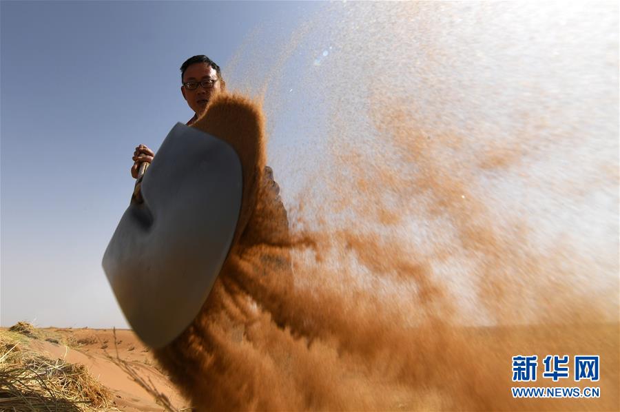 （新華全媒頭條&middot;圖文互動）（5）八步沙&middot;六老漢&middot;三代人