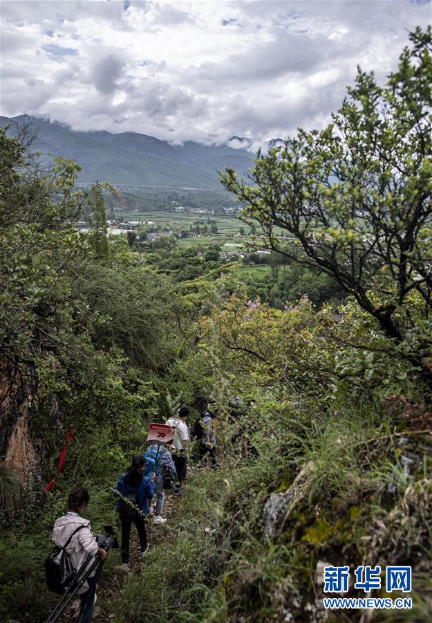 （壯麗70年&middot;奮斗新時代&mdash;&mdash;記者再走長征路&middot;圖文互動）（2）麗江古城的紅色記憶