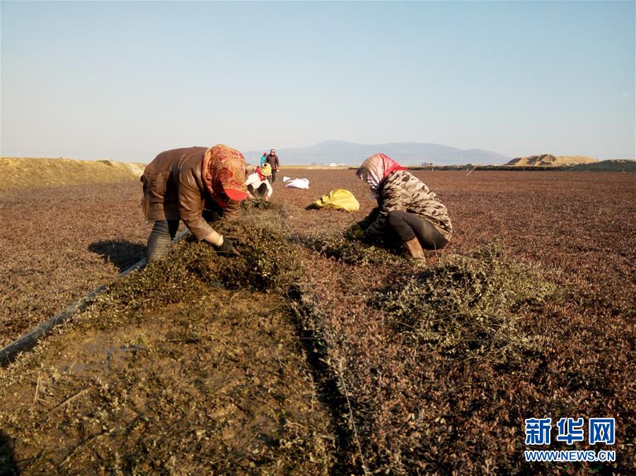 （圖文互動）（8）從&ldquo;輕工漁網(wǎng)重工馬掌&rdquo;到&ldquo;圓夢小康&rdquo;&mdash;&mdash;&ldquo;中國東極&rdquo;脫貧攻堅(jiān)剪影