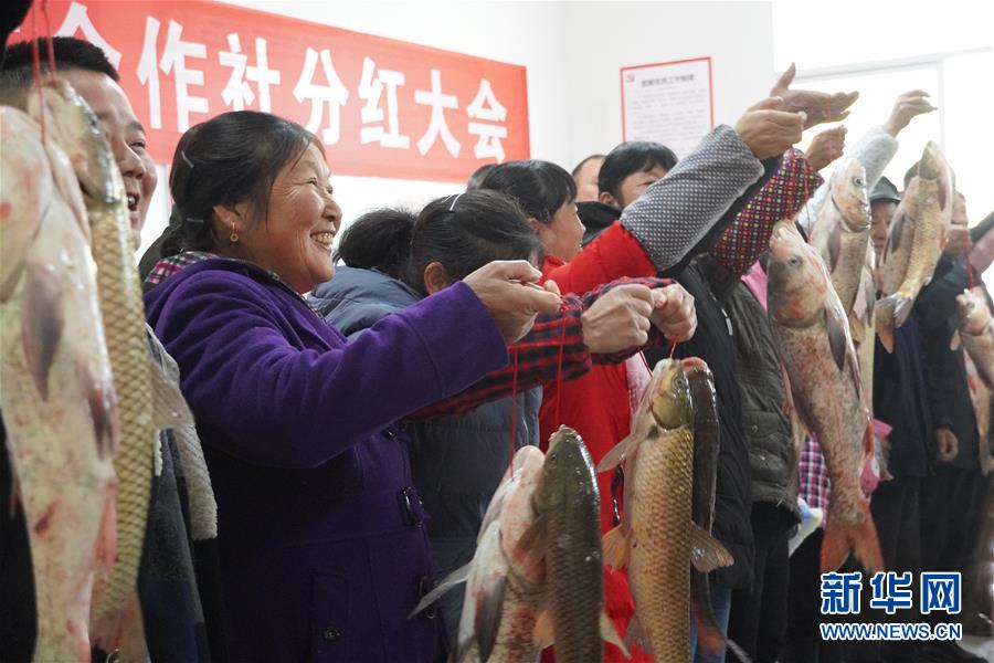 （新春走基層&middot;圖文互動）（3）&ldquo;空殼村&rdquo;分紅啦！