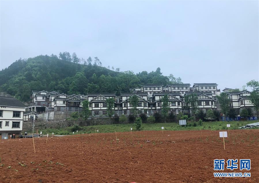 （決戰決勝脫貧攻堅&middot;圖文互動）（2）一分菜園穩&ldquo;心遷&rdquo;