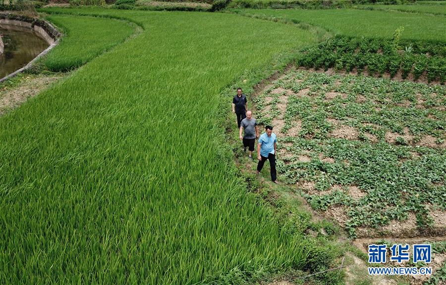 （圖文互動(dòng)）（6）湘南深山，堅(jiān)守扶貧一線(xiàn)的黨員之家