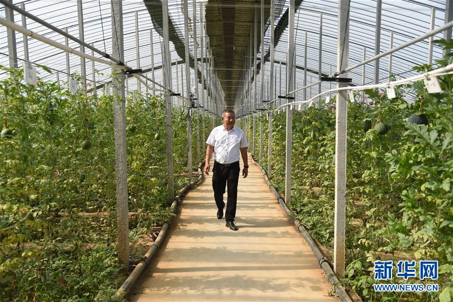 （新華全媒頭條&middot;走向我們的小康生活&middot;圖文互動(dòng)）（11）幸福小康入畫來&mdash;&mdash;齊魯大地描繪小康新畫卷