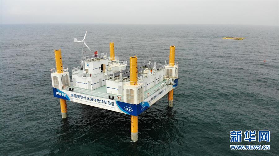 （新華全媒頭條&middot;走向我們的小康生活&middot;圖文互動(dòng)）（5）幸福小康入畫來&mdash;&mdash;齊魯大地描繪小康新畫卷