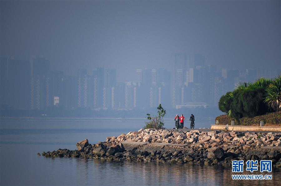 （新華全媒頭條&middot;圖文互動）（10）鯤鵬展翅九萬里&mdash;&mdash;深圳奮力跑好建設中國特色社會主義先行示范區&ldquo;第一程&rdquo;