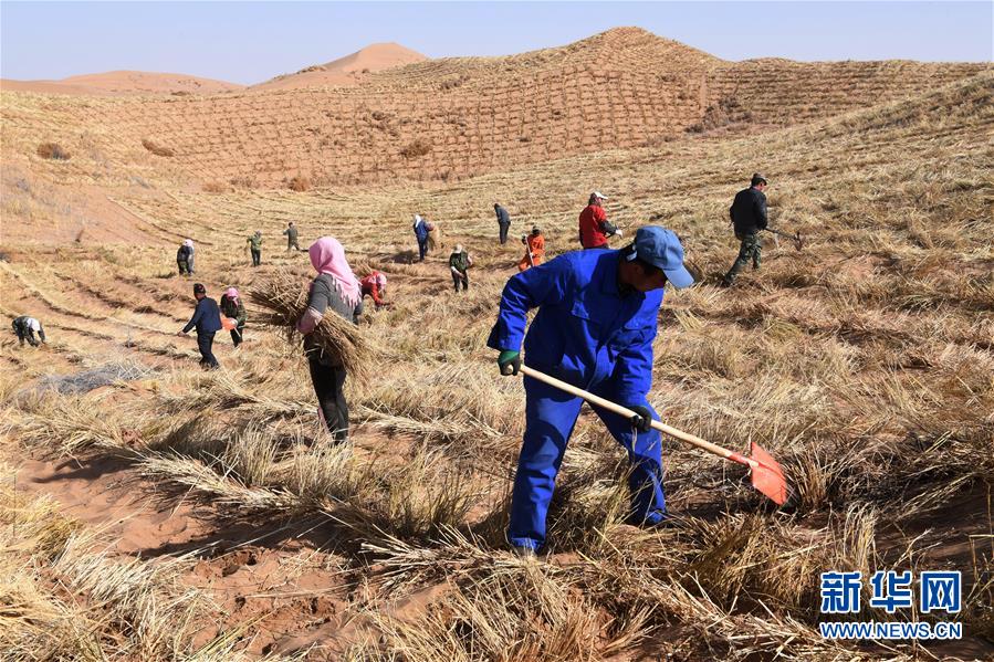 （新華全媒頭條&middot;走向我們的小康生活&middot;圖文互動）（6）&ldquo;苦甲&rdquo;不再，&ldquo;甘味&rdquo;綿長&mdash;&mdash;脫貧攻堅的甘肅味道