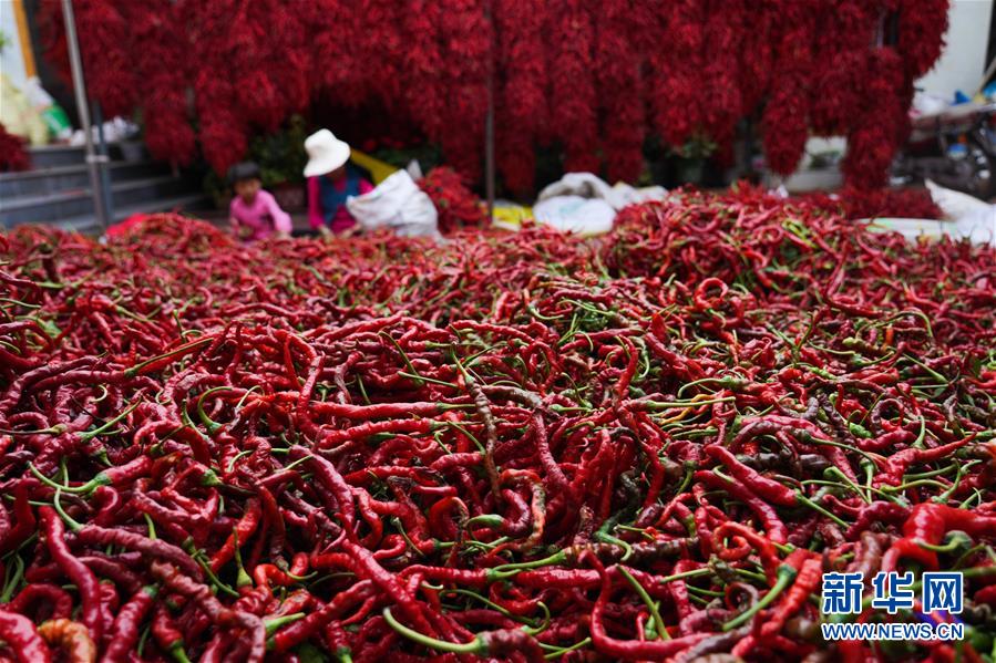 （走向我們的小康生活&middot;決戰決勝脫貧攻堅&middot;圖文互動）（7）甘青交界處的跨越&mdash;&mdash;保安族、撒拉族的脫貧故事 