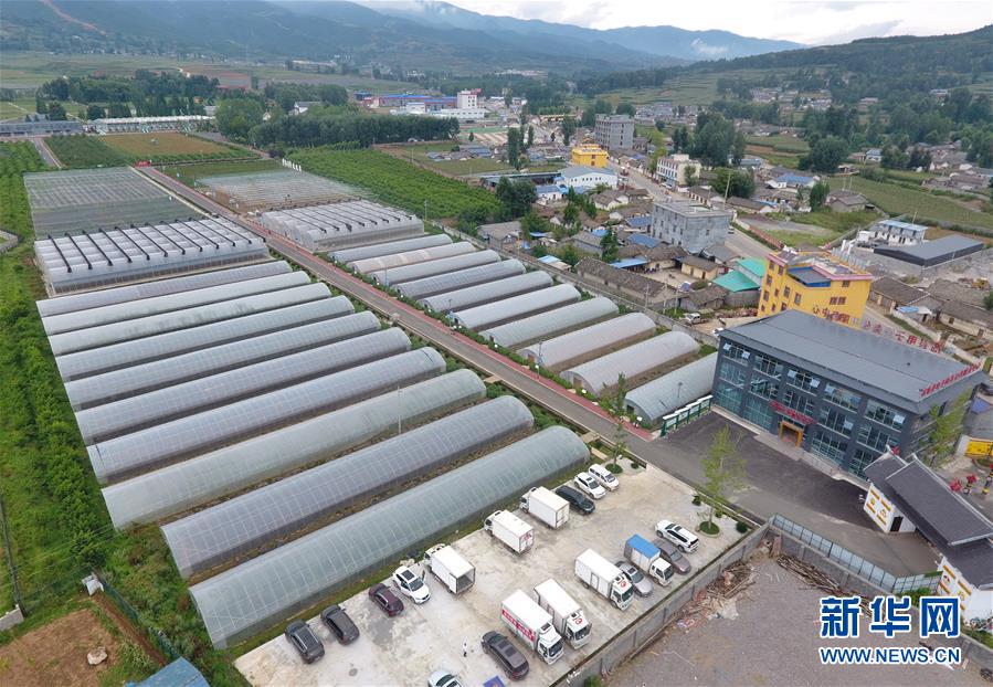 （走向我們的小康生活&middot;決戰決勝脫貧攻堅&middot;圖文互動）（1）把產業興盛之&ldquo;根&rdquo;扎進大涼山