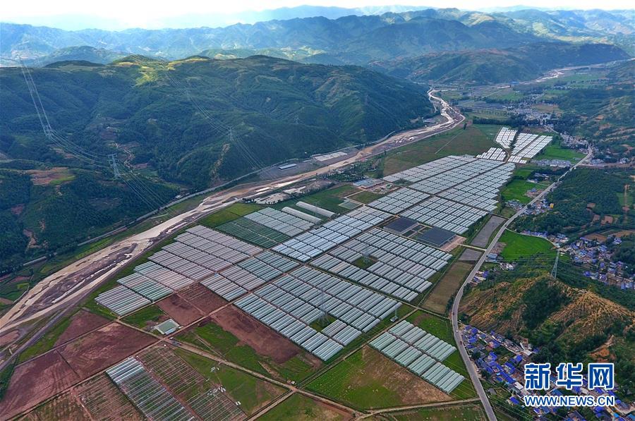 （走向我們的小康生活&middot;決戰決勝脫貧攻堅&middot;圖文互動）（2）把產業興盛之&ldquo;根&rdquo;扎進大涼山