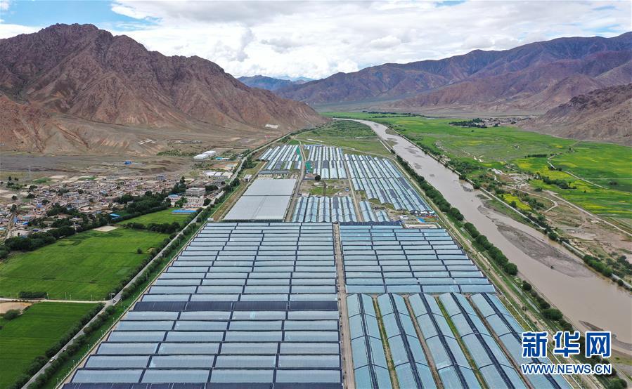 （走向我們的小康生活&middot;決戰(zhàn)決勝脫貧攻堅(jiān)&middot;圖文互動(dòng)）（2）高原喜見&ldquo;壽光綠&rdquo;&mdash;&mdash;&ldquo;世界屋脊&rdquo;上的蔬菜發(fā)展奇跡