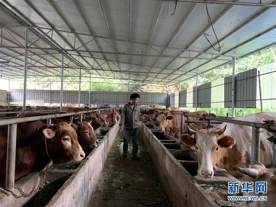 （新華全媒頭條&middot;圖文互動(dòng)）（3）決戰(zhàn)千山萬(wàn)弄間&mdash;&mdash;廣西&ldquo;極貧角落&rdquo;最后攻堅(jiān)記