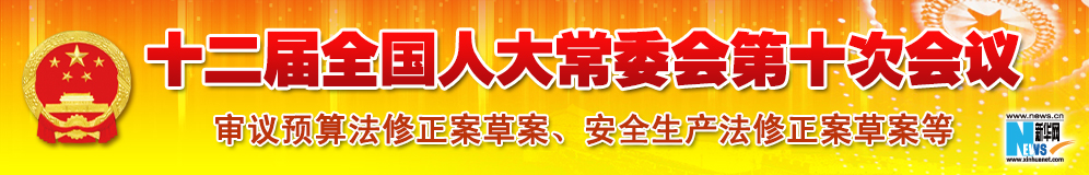 十二屆全國人大常委會第十次會議