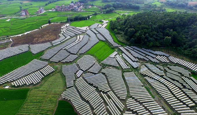 【建黨95周年&middot;光輝歷程】打贏脫貧攻堅戰