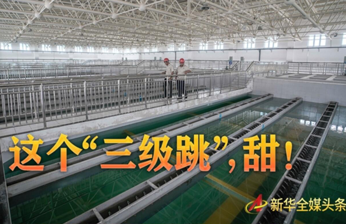 這個(gè)&ldquo;三級(jí)跳&rdquo;，甜！