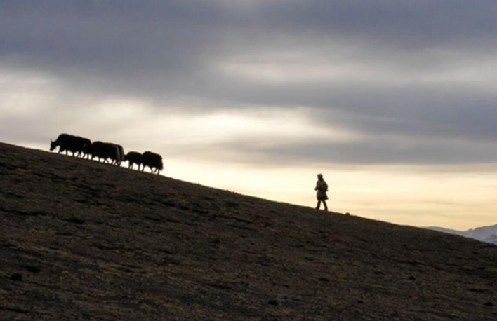 幸福來敲門丨普次仁的&ldquo;新牧場(chǎng)&rdquo;
