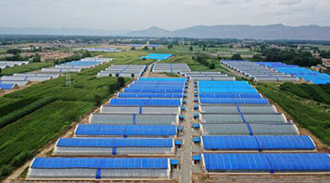 甘肅臨夏：產業幫扶助搬遷群眾安居樂業