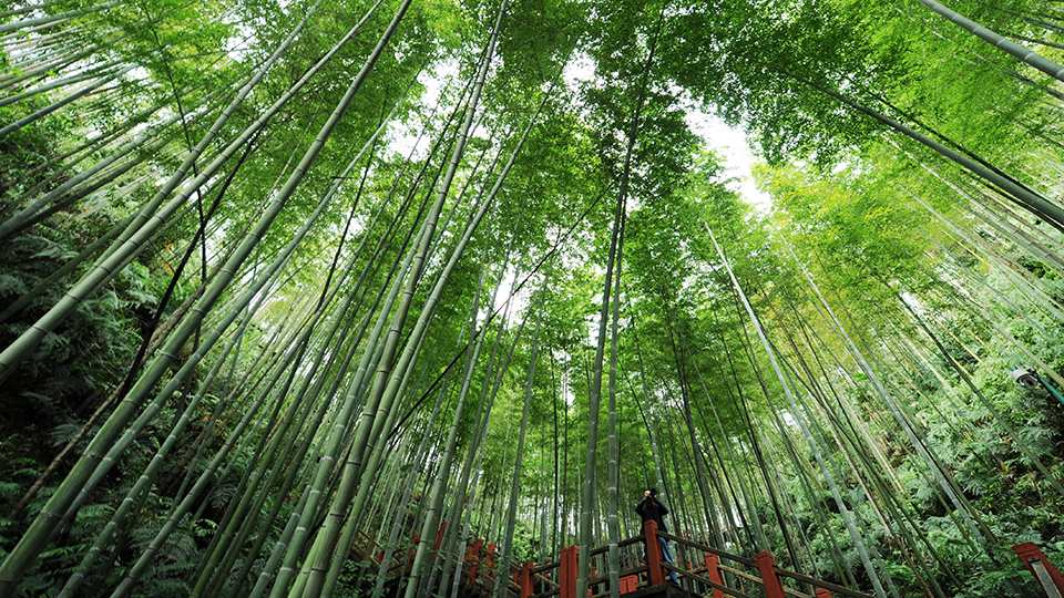 合作共治、責任共擔、效益共享&mdash;&mdash;赤水河流域跨省生態補償取得積極成效