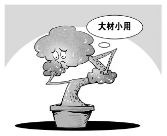 自認&ldquo;大材小用&rdquo;，不如腳踏實地