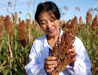 梅園雪：農(nóng)民心中的&ldquo;女財(cái)神&rdquo;