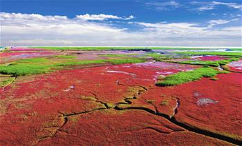生態中國&middot;天遼地寧紅灘舞
