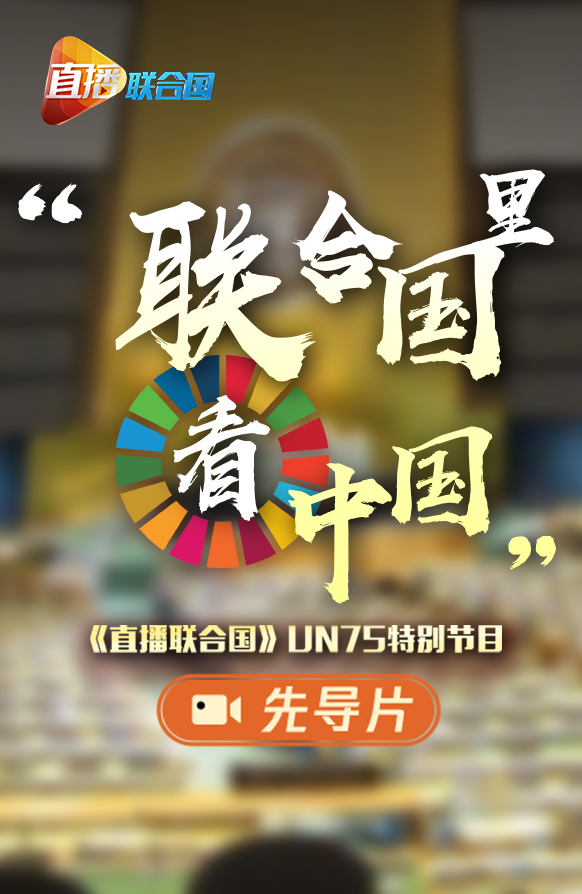 聯(lián)合國日，一起來看看他們眼中的中國