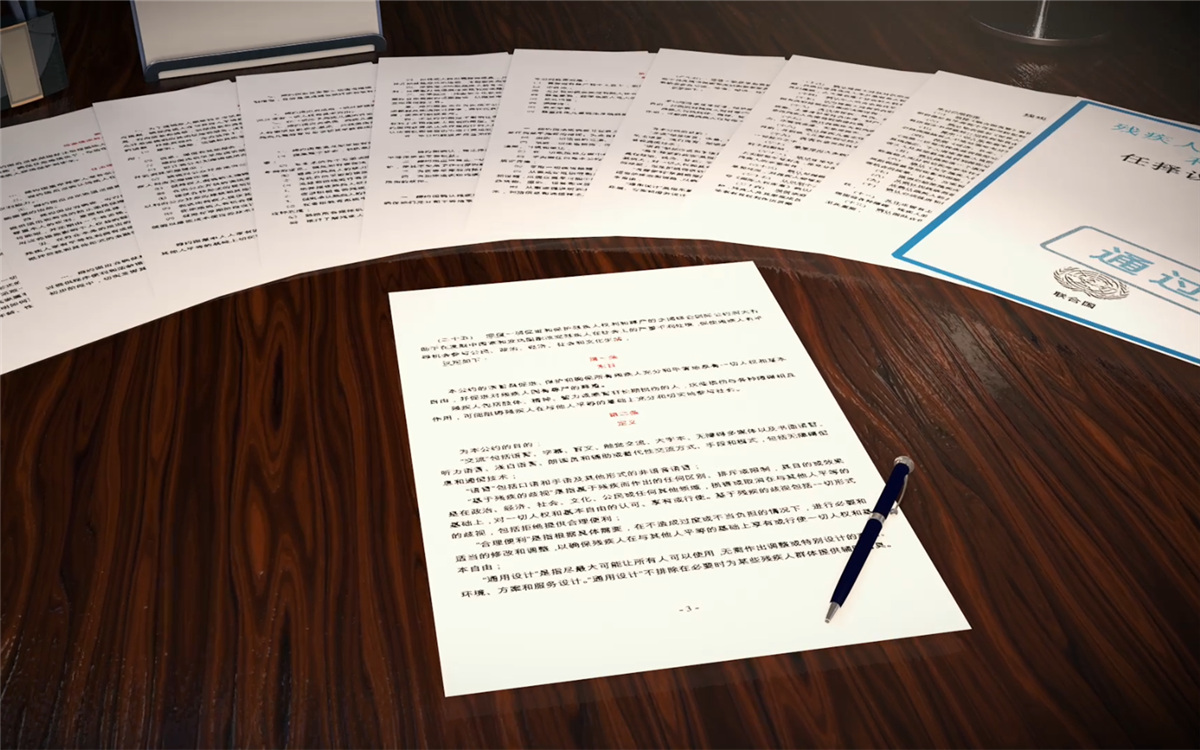 2006年12月，《殘疾人權利公約》在聯合國大會獲得通過