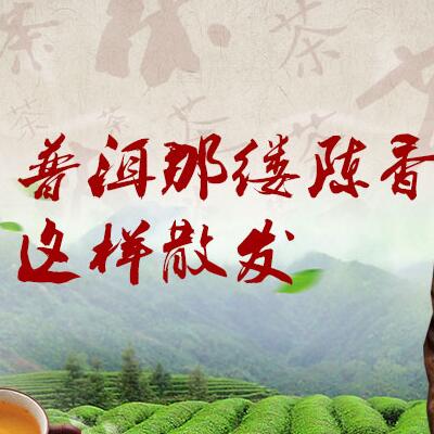 普洱那縷陳香，這樣散發