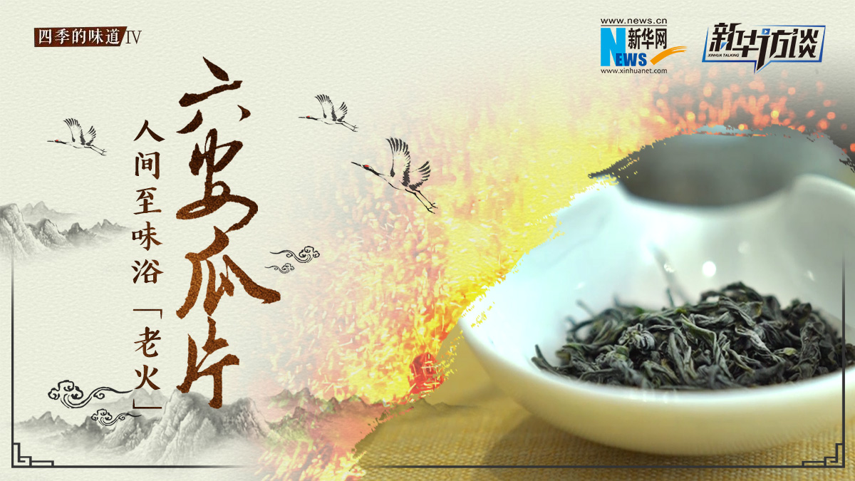 六安瓜片：人間至味浴&ldquo;老火&rdquo;