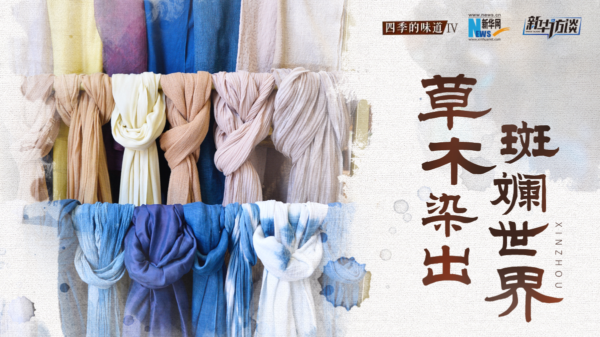 草木染出&ldquo;斑斕世界&rdquo;