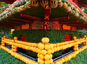 走進(jìn)壽光&ldquo;菜博會&rdquo;感受科技蔬菜種植(高清)