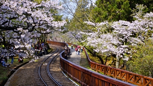 大陸對(duì)臺(tái)企臺(tái)胞送出&ldquo;大禮包&rdquo; 國(guó)臺(tái)辦：開放力度大前所未有