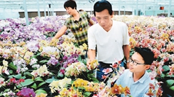 臺(tái)商眼中的改革開放：風(fēng)景這邊獨(dú)好 要去，要去，要去！