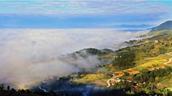 臺(tái)胞臺(tái)商熱議陜西惠臺(tái)&ldquo;60條&rdquo;：期盼落實(shí)、共享機(jī)遇