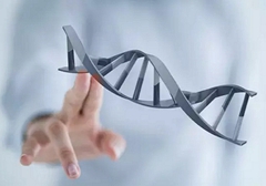 小細胞肺癌需要做基因檢測嗎？