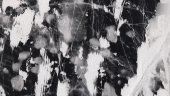 耐力比拼 俄羅斯&ldquo;冰風(fēng)暴&rdquo;越野賽冰面開(kāi)賽