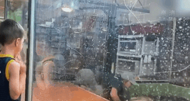 表演時被咬 美飼養(yǎng)員&ldquo;鱷口逃生&rdquo;