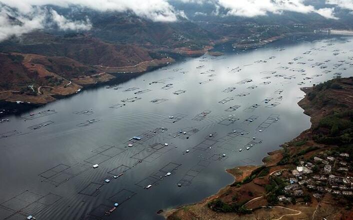 廣西隆林：水上&ldquo;田園&rdquo;