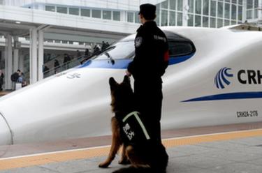 警犬&ldquo;神威&rdquo; 護(hù)航春運