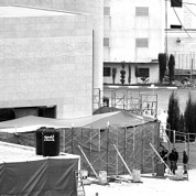 驗尸能否解開謎團？