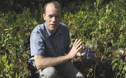 南非德班打造&ldquo;綠色緩沖區&rdquo;(組圖)